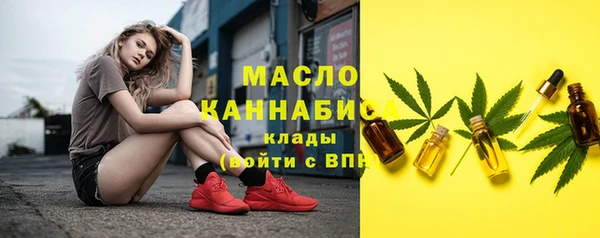 мет Бородино