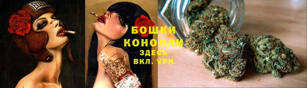 сатива Верея