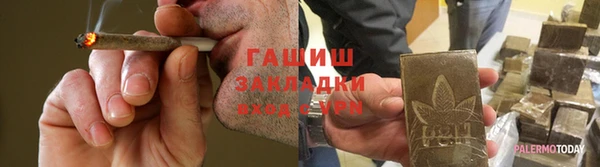 сатива Верея