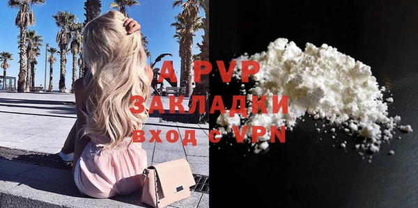 сатива Верея