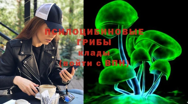 мет Бородино